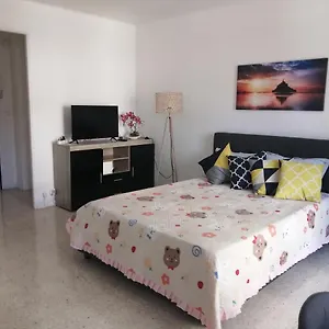  Appartement Antibes centre studio 27 M2 rénové France